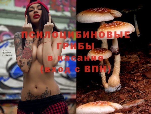 Альфа ПВП Волоколамск