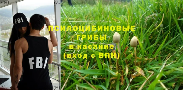 хмурый Волосово