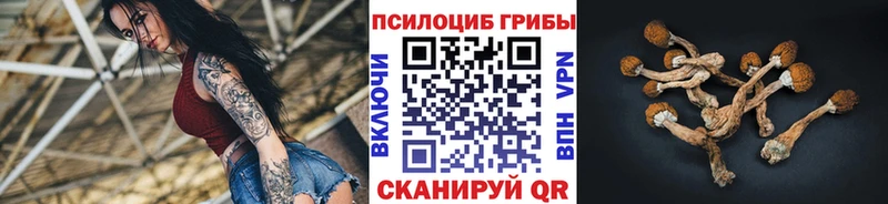 ссылка на мегу как войти  Невьянск  Галлюциногенные грибы Magic Shrooms  купить наркотики цена 